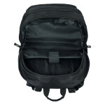 BAAGL Školní batoh Skate Gold