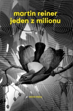 Jeden z milionu - Martin Reiner - e-kniha