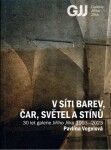 V síti barev, čar, světel a stínů