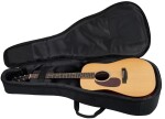 Eastman E1DL