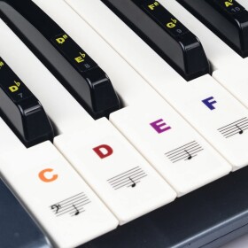 Guitto GFM-02 Keyboard Stickers