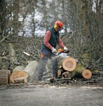 Motorová pila STIHL MS 271