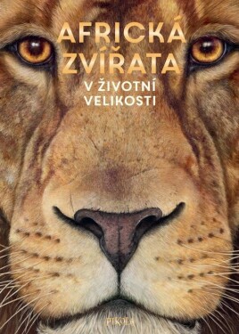 Africká zvířata: životní velikosti