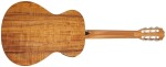 Taylor Academy 12e-N LTD
