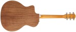 Taylor 214ce (rozbalené)
