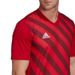 Pánský dres Entrada 22 Graphic Jersey HB0572 Adidas