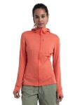 ICEBREAKER Wmns Merino 260 Quantum IV LS Zip Hoodie, Tang velikost: XS