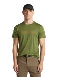 Pánské merino triko krátký rukáv ICEBREAKER Mens Merino 150 Tech Lite SS Tee IBCoordinates, Sphagnum velikost: M