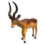 Antilopa impala