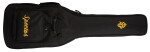 Spector Euro LX 5 Black Stain
