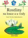 Rostliny na louce vody