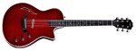 Taylor T5z Pro Cayenne Red Armrest