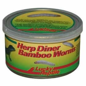 Lucky Reptile Herp Diner - bambusoví červi 35g (FP-67331)