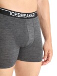 Pánské boxerky ICEBREAKER Mens Anatomica Boxers, Jet Heather velikost: M