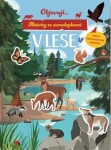 Objevuji... V lese