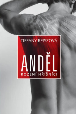 Anděl (poškozená) - Tiffany Reiszová