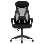 Kancelářská židle, houpací mechanismus, černá síťovina, KA-Y309 BK