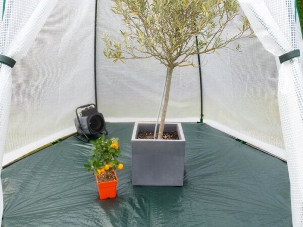 Fóliovník – Avocado 2,5 x 2,5 m