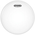 Evans B12G12 G12 12" Coated