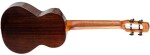 Flight Navigator Tenor EQ-A Tobacco Burst