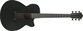 Ibanez AEG1221-BOT