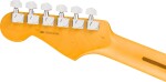Fender American Professional Stratocaster MN OWT