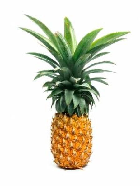 Joypaste Ochucovací pasta Joypaste Ananas (1,2 kg)