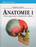 Anatomie