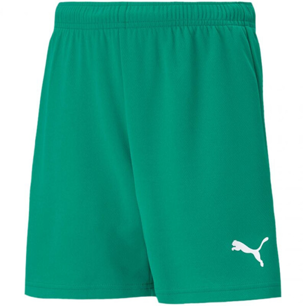 Dětské šortky Team RISEShort Jr 704943 05 Puma