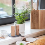 Räder Solnička a kořenka Wood, hnědá barva, přírodní barva, dřevo