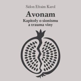 Avonam: Kapitoly o sionismu a trauma viny - Karol Efraim Sidon - audiokniha