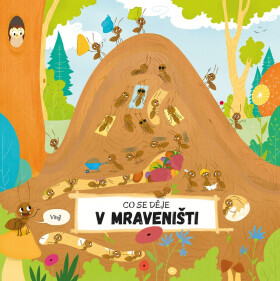 Co se děje v mraveništi, 1. vydání - Petra Bartíková