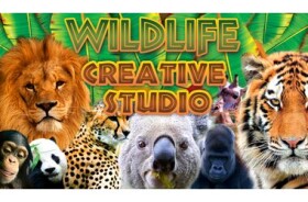 ESD Wildlife Creative Studio / Elektronická licence pro Steam / Naučná / Určeno pro počítač (6904)