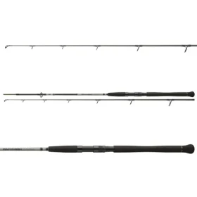 Daiwa Powermesh Catfish Spin / Sumcový prut / 2,7m / do 135g / 2díly (11822-270)