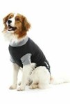 Obleček Body Suit Classic Černá/Šedá 63cm XL BUSTER