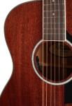 D'Angelico Excel Tammany Natural Mahogany