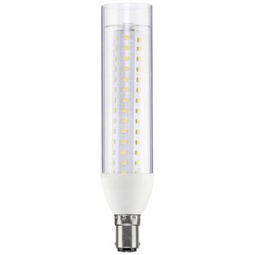 Paulmann 28891 LED Energetická třída (EEK2021) E (A - G) B15d zářivkový tvar 9.5 W = 75 W neutrální bílá (Ø x v) 36 mm x 165 mm 1 ks