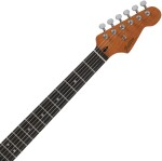 Patina PS-6 PP R