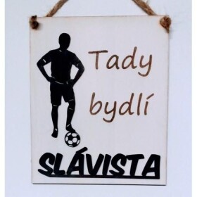 Mdeco Cedulka - fotbalista - Slávista