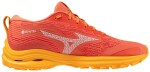 Běžecké boty Mizuno WAVE RIDER GTX J1GD227972 Velikost obuvi EU: