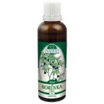 Naděje Tinktura z pupenů Borůvka černá 50ml