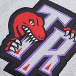 Mitchell & Ness Pánská mikina Toronto Raptors NBA Pinnacle Heavyweight Fleece Hoodie Velikost: S