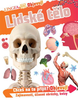 Lidské tělo
