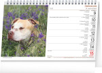 Kalendář 2025 stolní: Psi Psy CZ/SK,