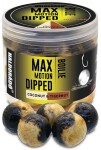 Haldorádó Boilies v dipu Dipped Max Motion 20mm 80g - Pikantní červená játra,Haldorádó Boilies v dipu Dipped Max Motion 20mm 80g - Pikantní červená já