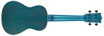 Flight DUC 380 Topaz Satin Color