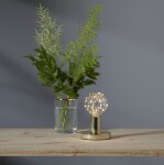 STAR TRADING Dekorativní LED žárovka Warm White Decoled, stříbrná barva, sklo, kov, plast