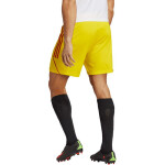 Pánské šortky Tiro 23 League IB8091 Adidas