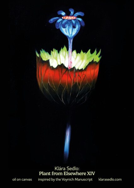 Plant from elsewhere XIV