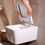 HANSGROHE - EluPura Q Závěsné WC se sedátkem SoftClose, Rimless, AquaChannel Flush, bílá 60293450
